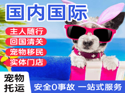 满洲里西郊机场物流国际宠物托运 【国